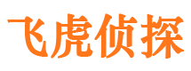 南丰市调查公司